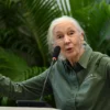 Tribute to Dr Jane Goodall