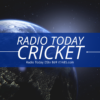 Third Umpire Cricket