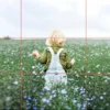 The Smartphone Photography Guide for Seniors